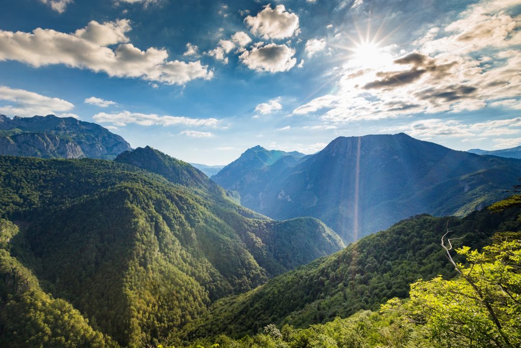 Fascinating Facts About BiH Perucica rainforest nature in Bosnia Perucica rainforest nature in Bosnia