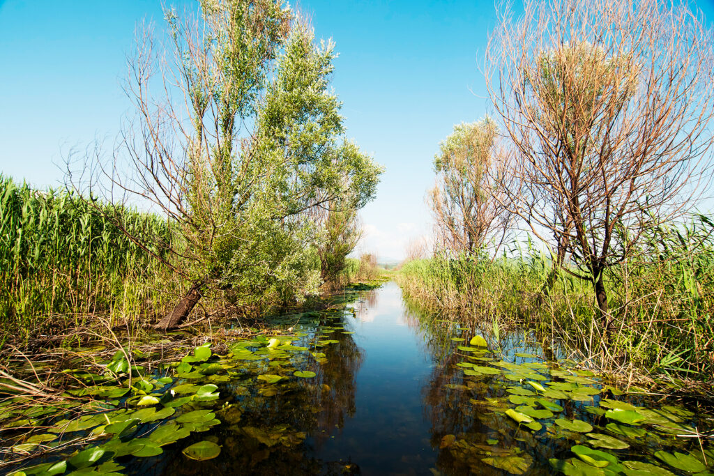Photo-poem-Hutovo-blato-2
