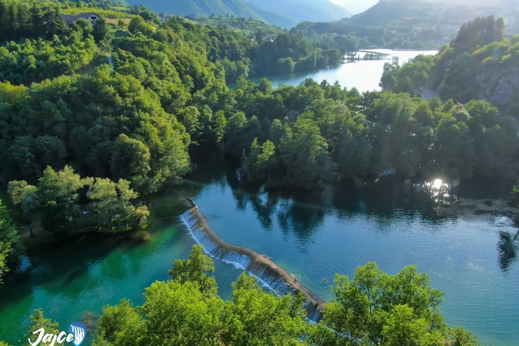 pliva jajce